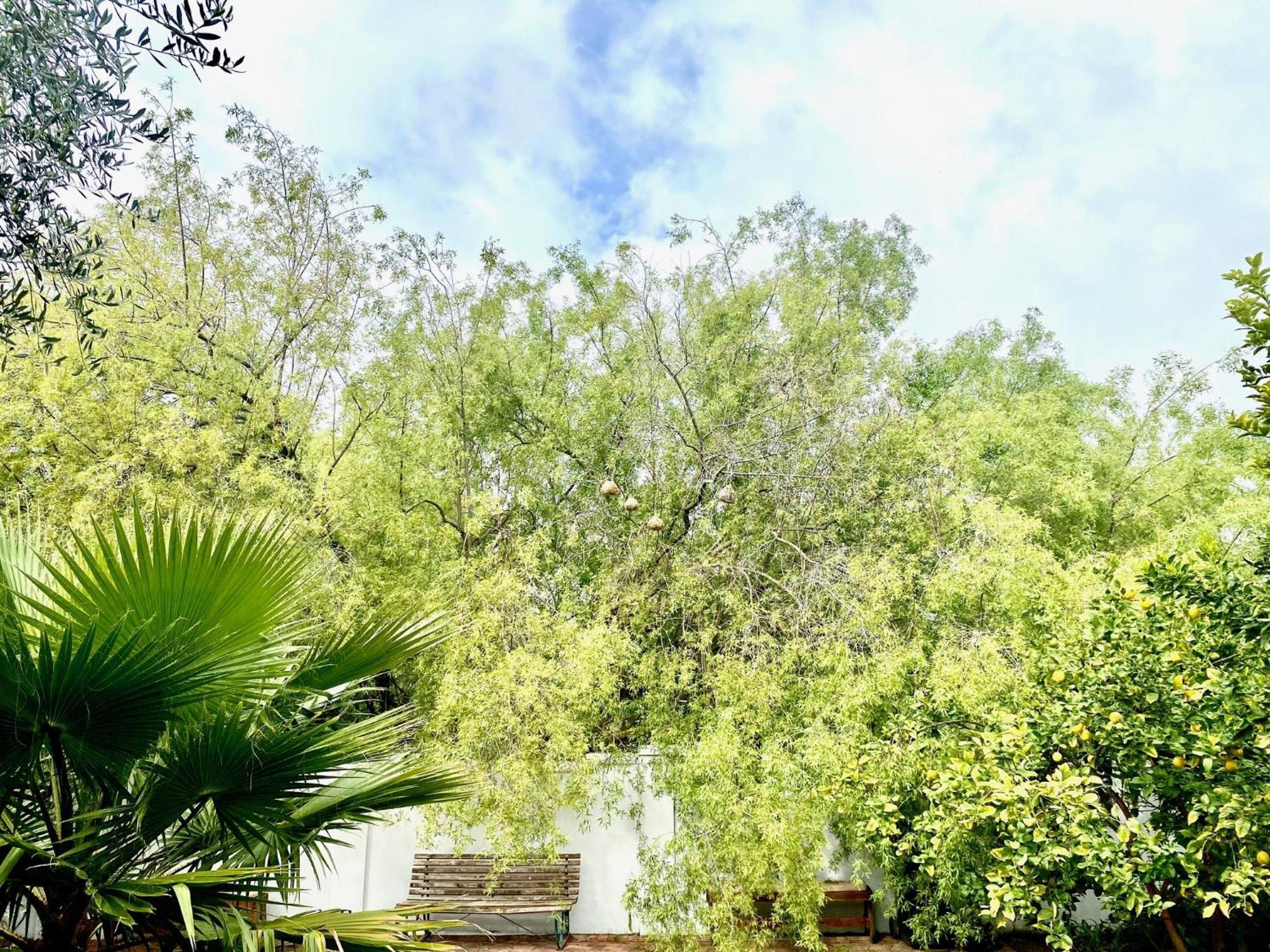 1 Royal Street Guesthouse Riebeek-Kasteel Exteriér fotografie