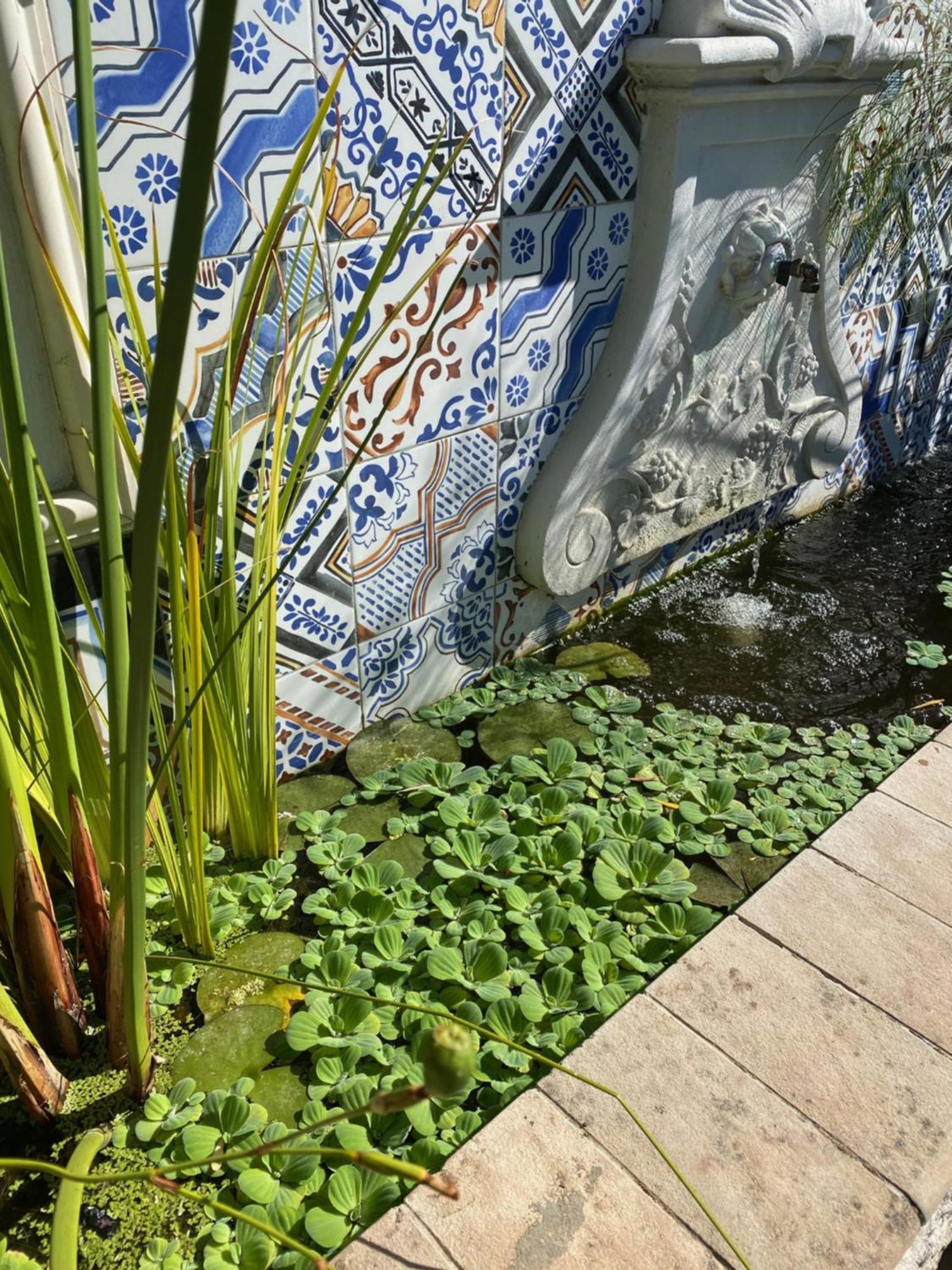 1 Royal Street Guesthouse Riebeek-Kasteel Exteriér fotografie