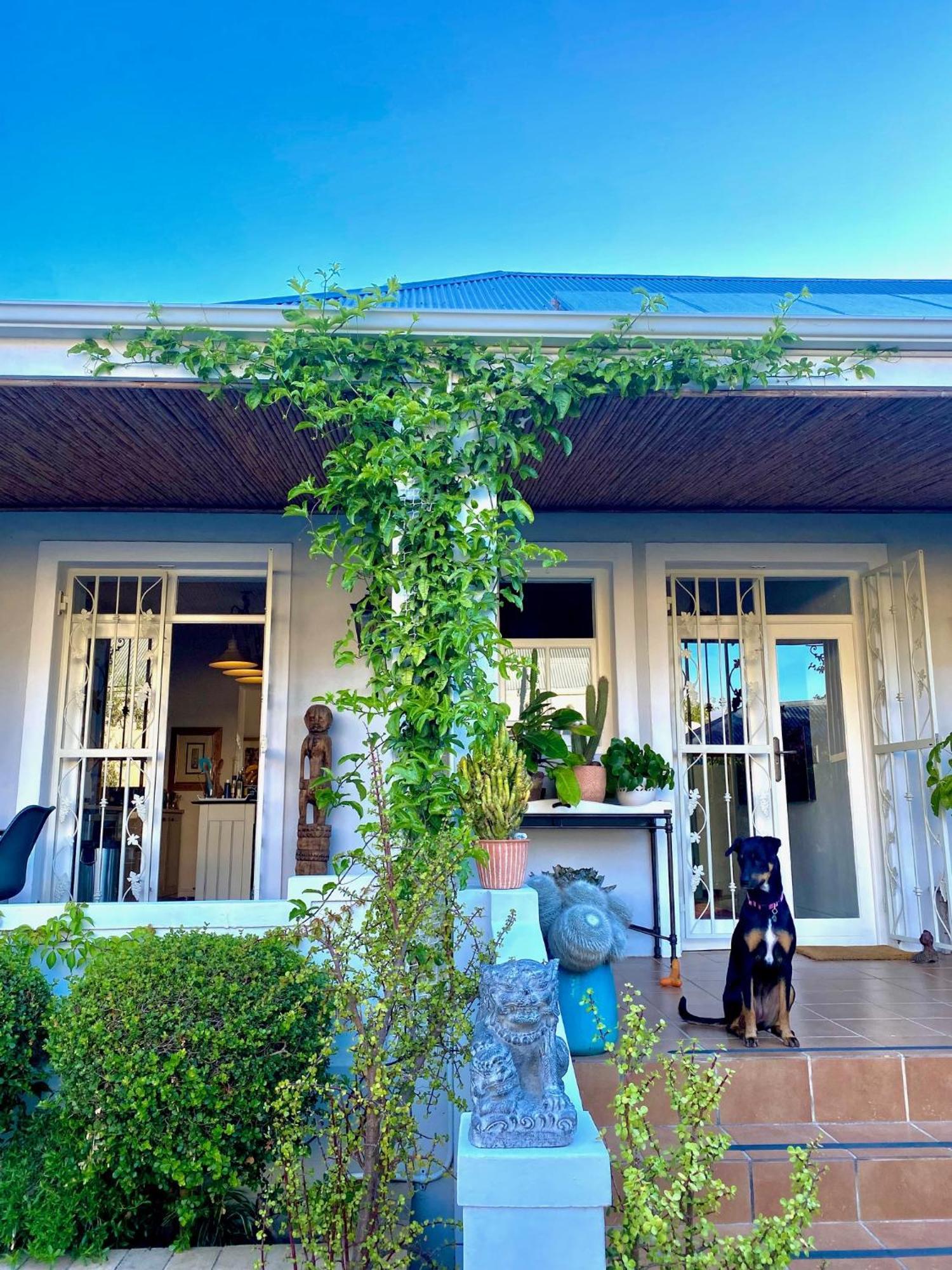 1 Royal Street Guesthouse Riebeek-Kasteel Exteriér fotografie