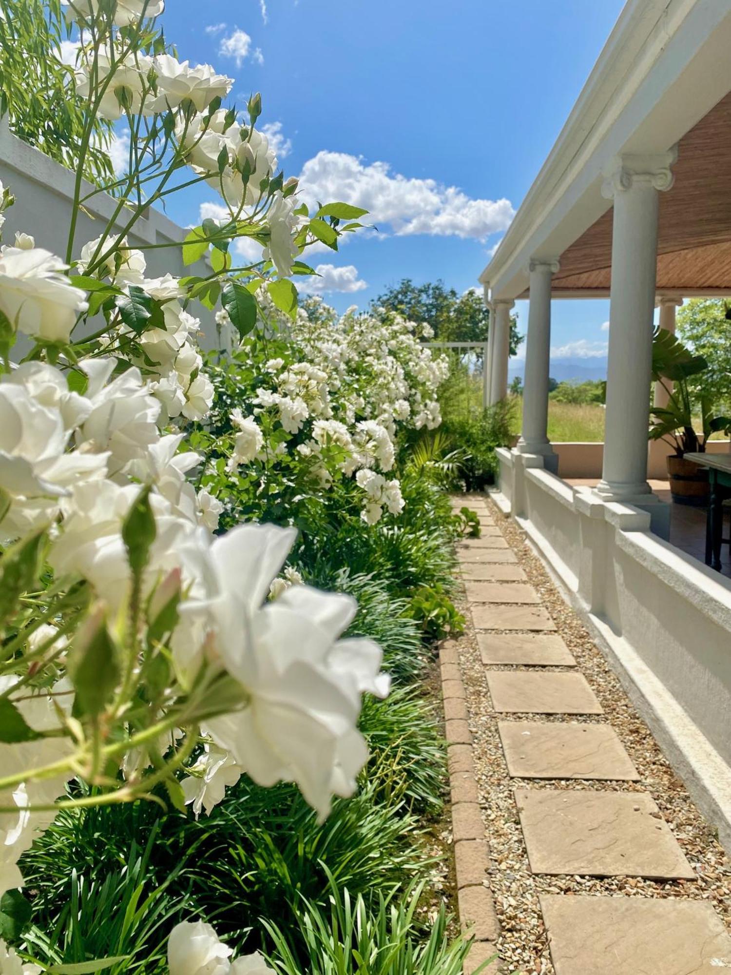 1 Royal Street Guesthouse Riebeek-Kasteel Exteriér fotografie
